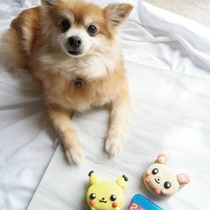 Meet your Posher, Amy